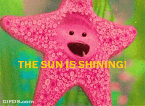 Pink Starfish The Sun Is Shining GIF