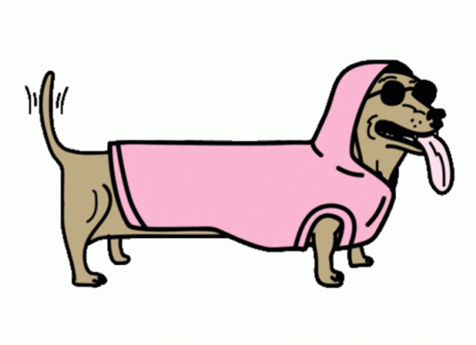 Pink Sweater Weather Doggy GIF