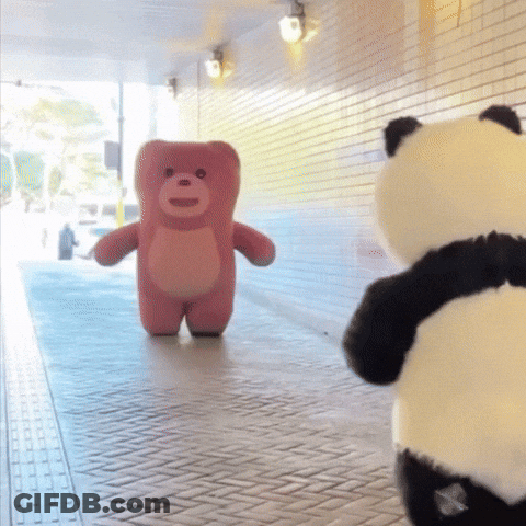 Pink Teddy Bear And Panda Bear Standing Next To Each Other GIF