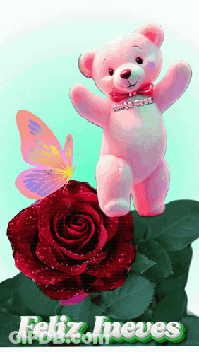 Pink Teddy Bear On Red Rose With Butterfly Feliz Jueves GIF