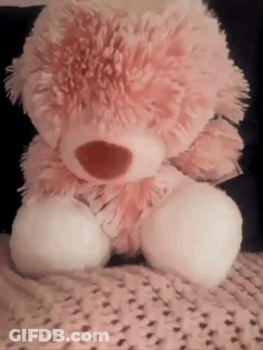 Pink Teddy Bear Sitting On Blanket On Bed GIF