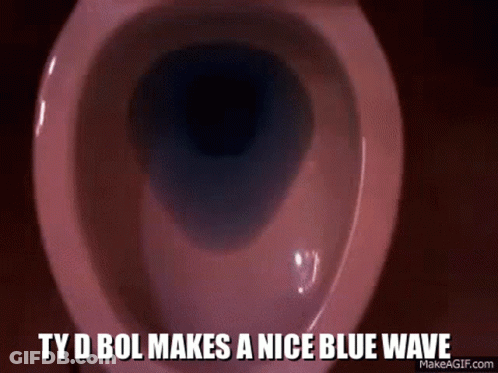 Pink Toilet Saying Ty D Bol Makes A Nice Blue Wave GIF