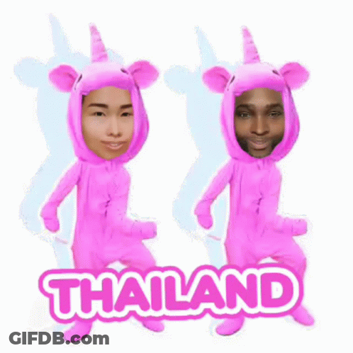 Pink Unicorn Costumes Couple Dancing In Thailand GIF