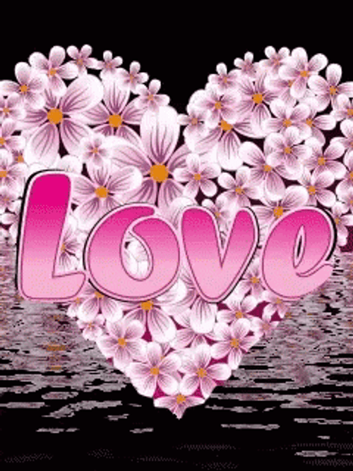 Pink Wildflower Heart Water Love GIF