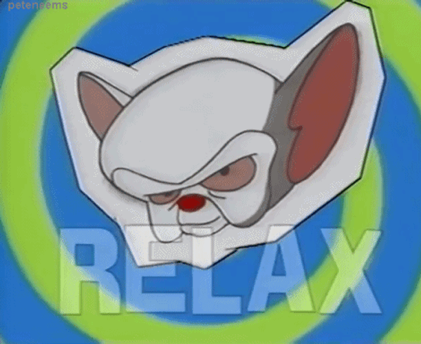 Pinky And The Brain 90S Cartoon GIF