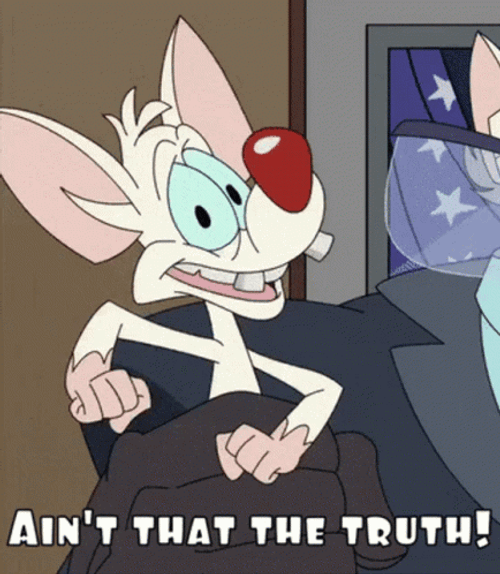 Pinky And The Brain Ain't That The Truth GIF