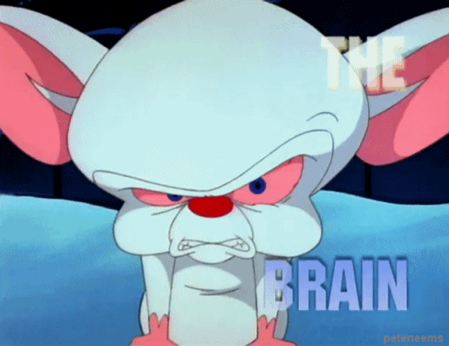 Pinky And The Brain Angry The Brain GIF