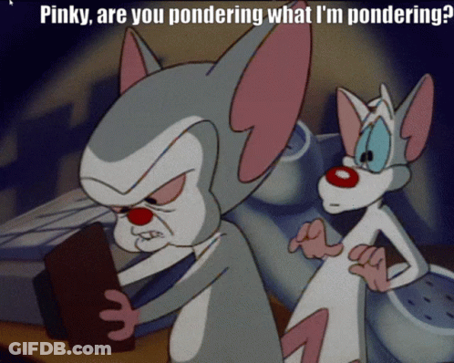 Pinky And The Brain Animaniacs GIF
