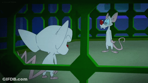 Pinky And The Brain Are Looking At Each Other In A Cartoon GIF