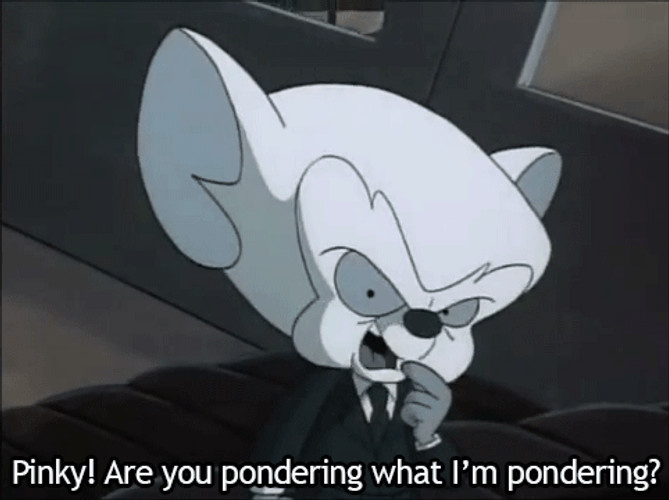 Pinky And The Brain Are You Pondering GIF