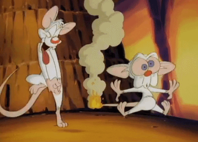 Pinky And The Brain Burning Fire GIF