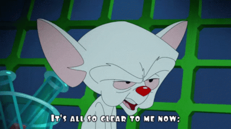 Pinky And The Brain Clear To Me GIF