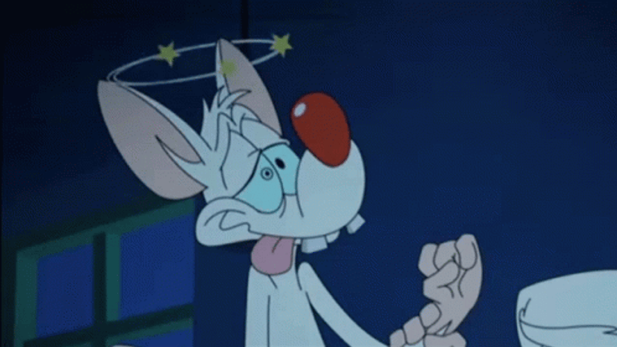 Pinky And The Brain Dizzy Seeing Stars GIF