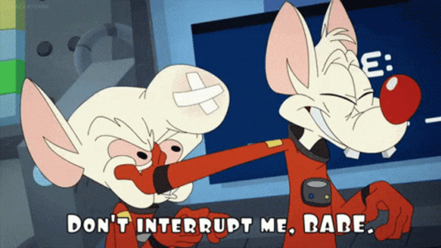 Pinky And The Brain Don't Interrupt Me GIF
