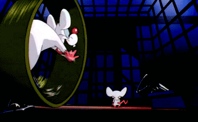 Pinky And The Brain Evil Plan Intro GIF
