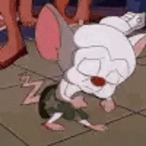 Pinky And The Brain Funny Fast Dancing GIF