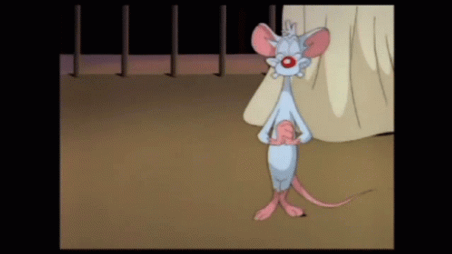 Pinky And The Brain Funny Happy Dance GIF