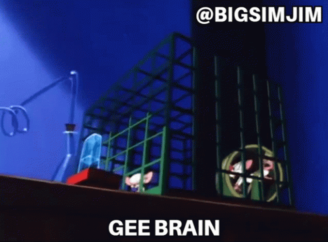 Pinky And The Brain Gee Brain Meme GIF