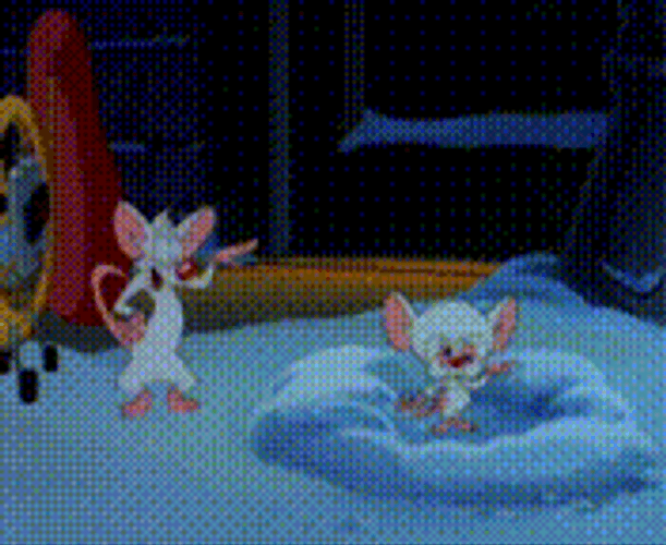 Pinky And The Brain In Snow GIF