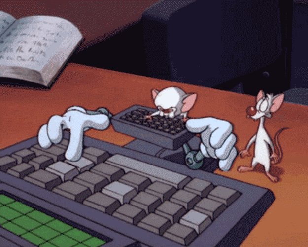 Pinky And The Brain Keyboard Typing GIF