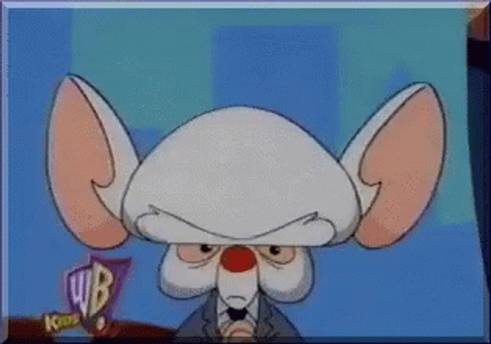 Pinky And The Brain Obey Brain Rules GIF