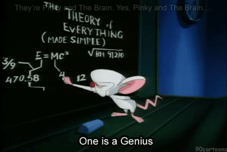 Pinky And The Brain One Is A Genius GIF