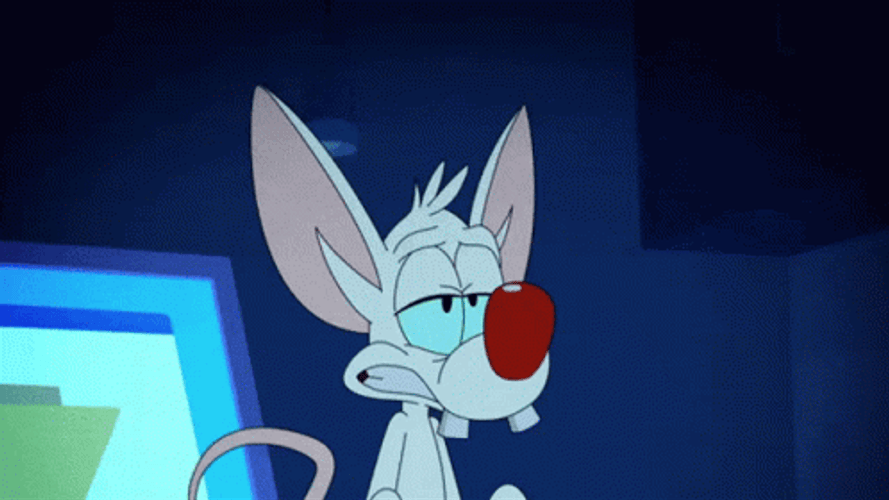 Pinky And The Brain Pinky Excited Yay GIF