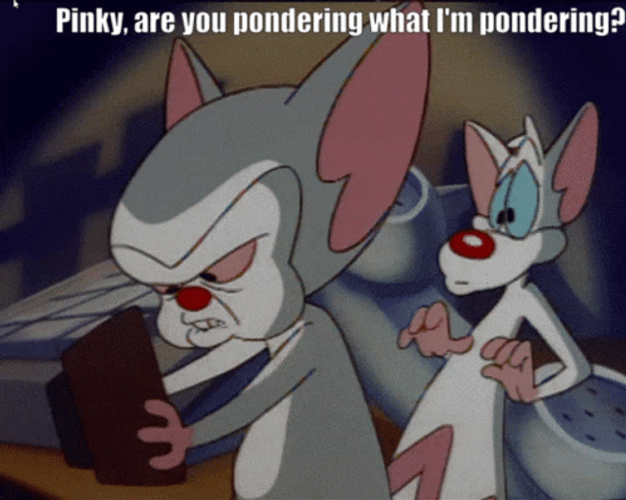 Pinky And The Brain Pinky Pondering Meme GIF
