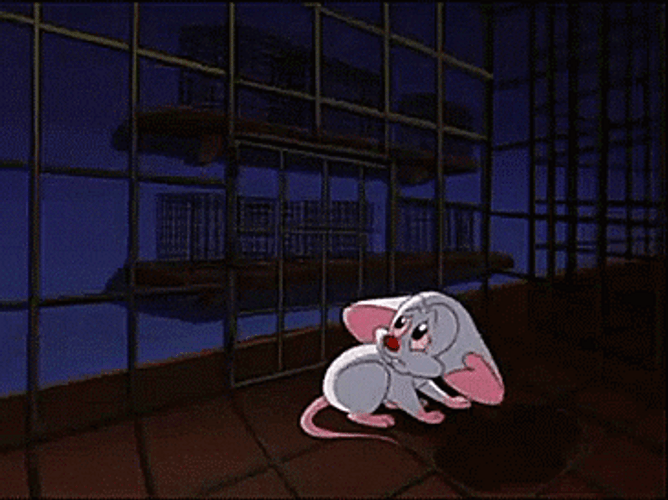 Pinky And The Brain Pinky Scared GIF