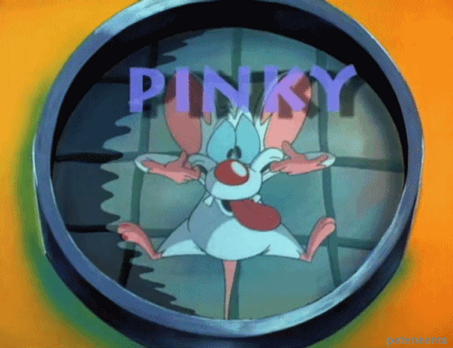 Pinky And The Brain Pinky Sidekick GIF