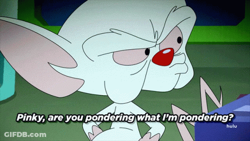 Pinky And The Brain Pondering What I'm Pondering GIF