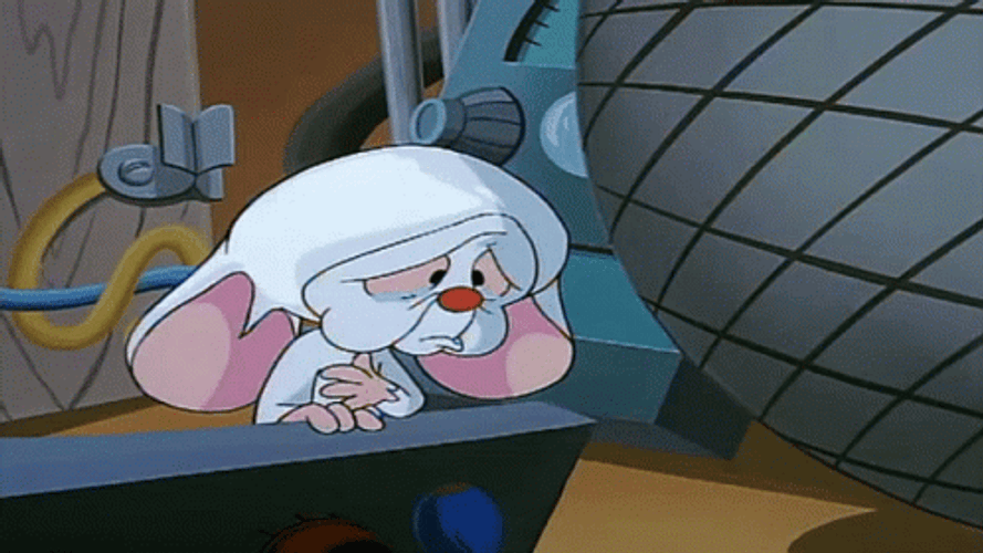 Pinky And The Brain Sad Crying Tears GIF