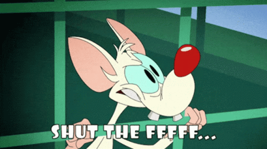 Pinky And The Brain Shut The Front Door GIF