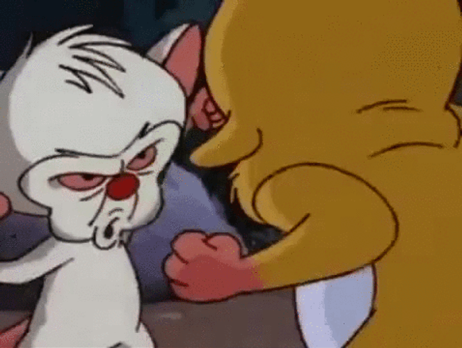 Pinky And The Brain Snowball Nut Shot GIF