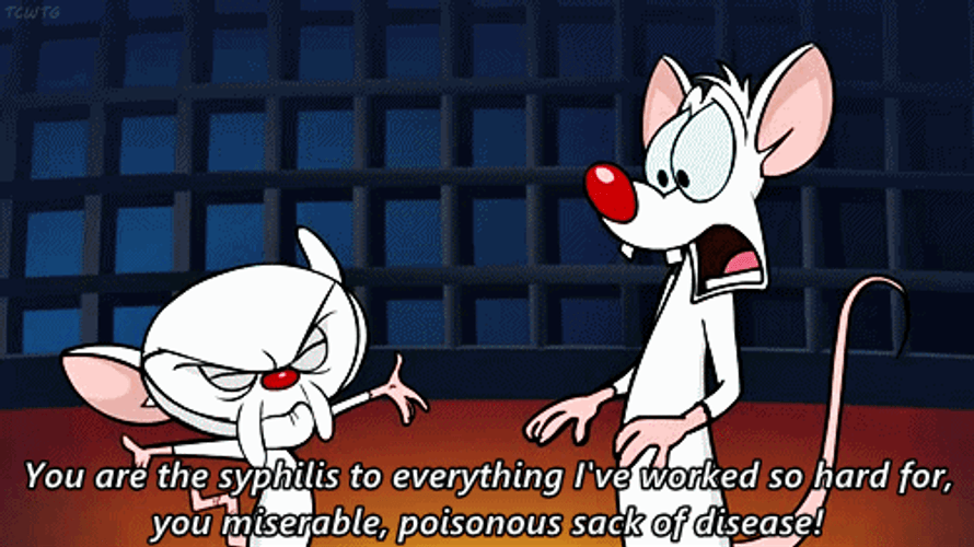 Pinky And The Brain Syphilis To Everything GIF