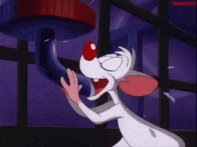 Pinky And The Brain Thirsty Water Drink GIF