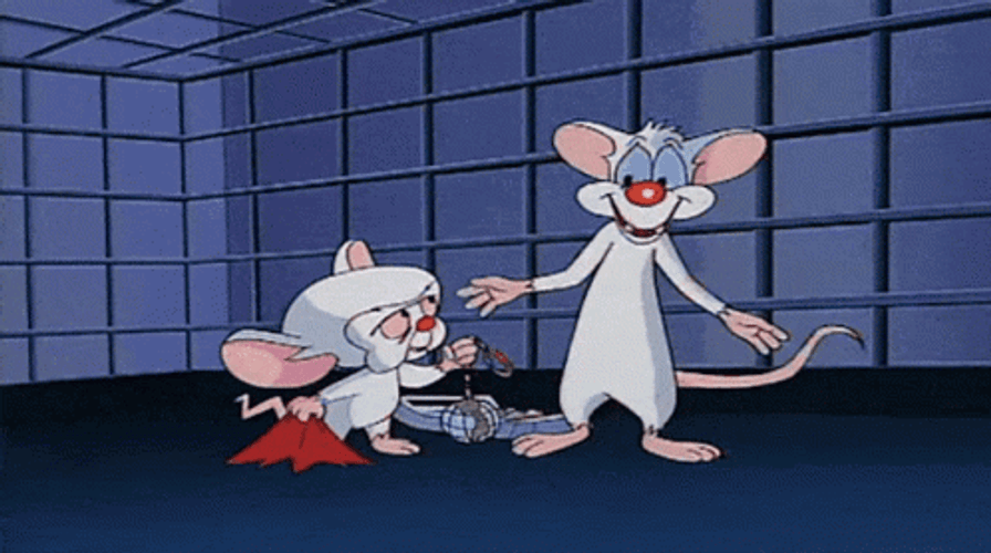 Pinky And The Brain Tight Hug GIF