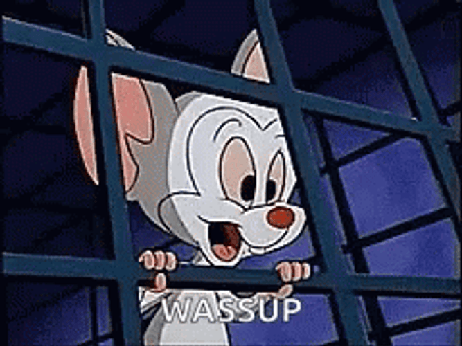 Pinky And The Brain Wassup Silly Face GIF