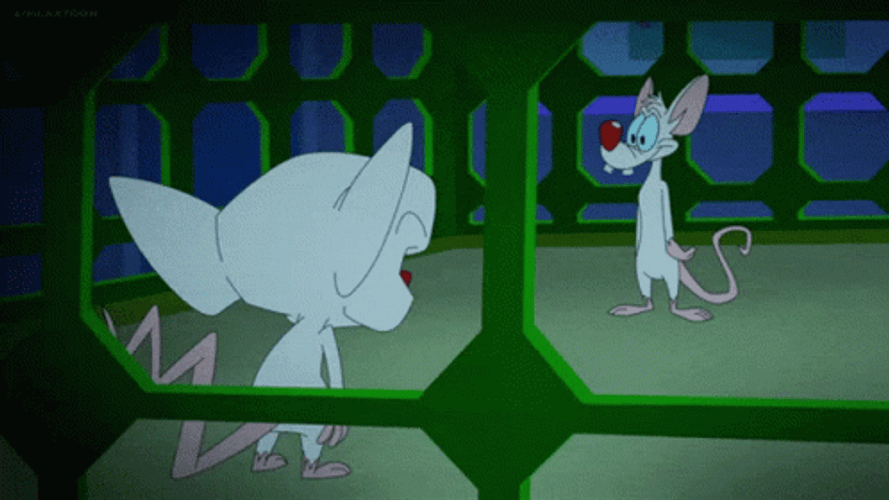 Pinky And The Brain We're Taking Over GIF