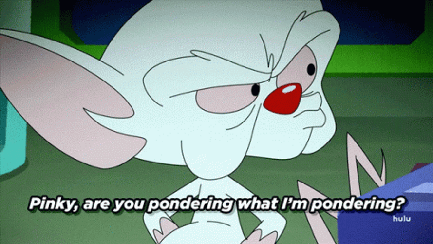 Pinky And The Brain What I'm Pondering GIF