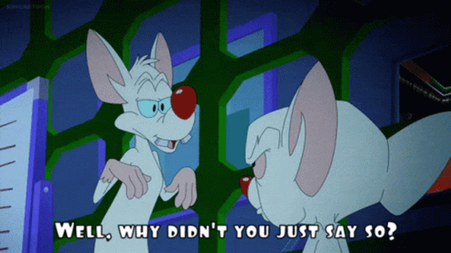 Pinky And The Brain Why Didn't You GIF
