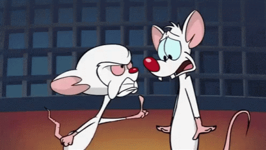 Pinky And The Brain Yelling Pissed-Off GIF