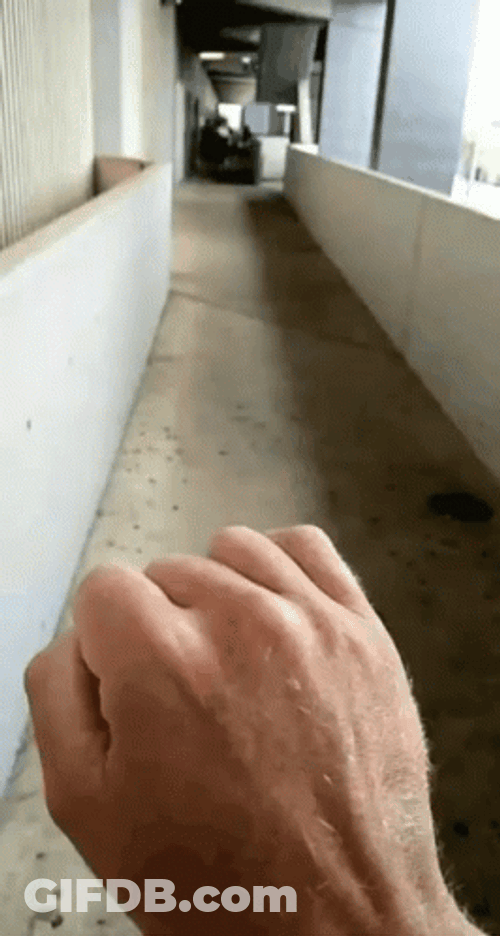 Pinky Finger Sign Language GIF