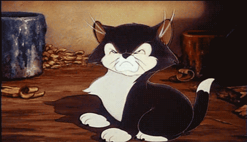 Pinocchio Figaro Cat No GIF