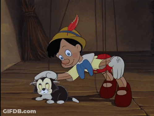 Pinocchio Playing With Black And White Cat GIF