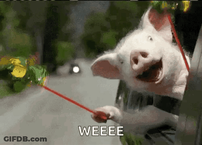 Pinwheel Thatll Do Pig GIF