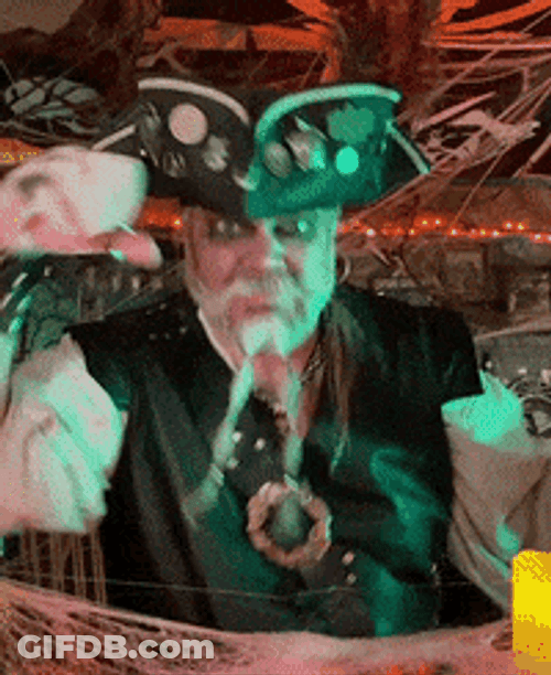 Pirate Approved Pointing GIF