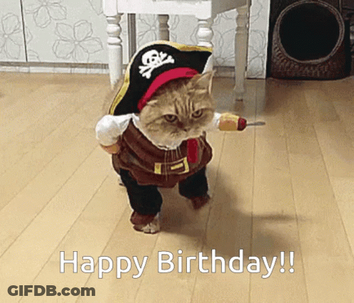 Pirate Cat Happy Birthday GIF