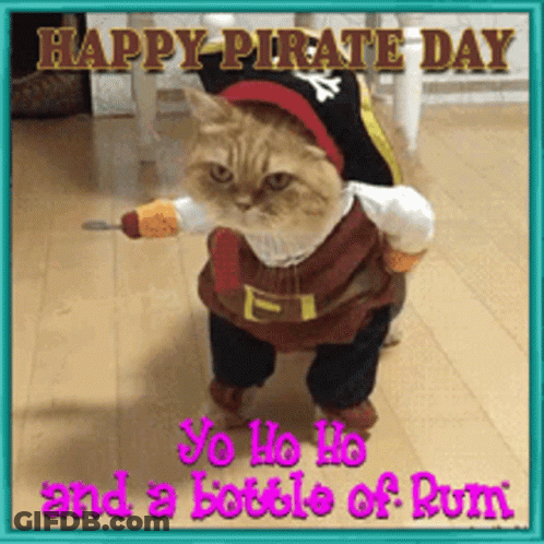 Pirate Cat Holding Rum GIF