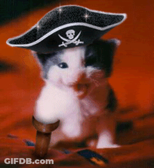 Pirate Cat Sparkling GIF